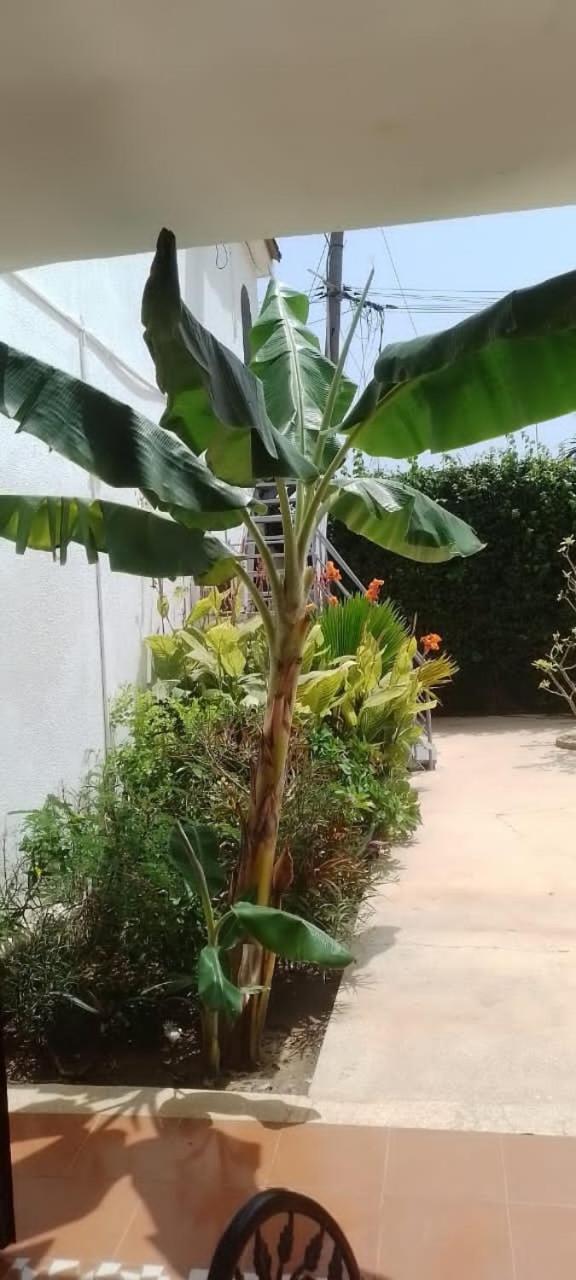 Riad côté jardin Saly Portudal Esterno foto